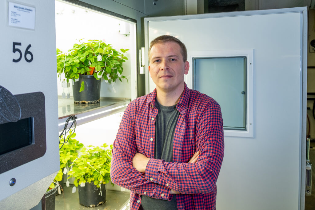 Uncovering origins of cultivated strawberry