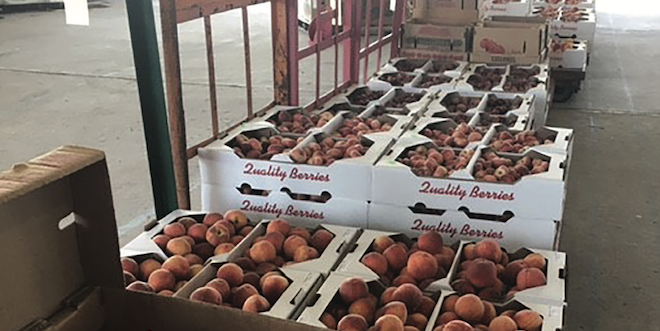 Strategies for selling at produce auctions