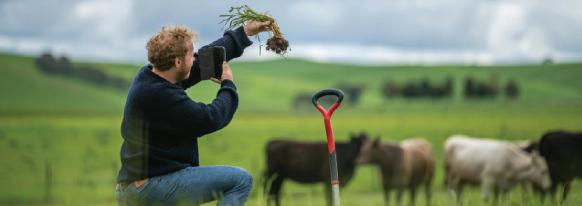 Thoughts on regenerative agriculture