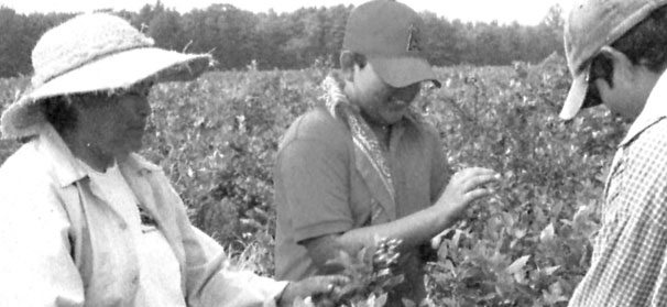 Farm workers