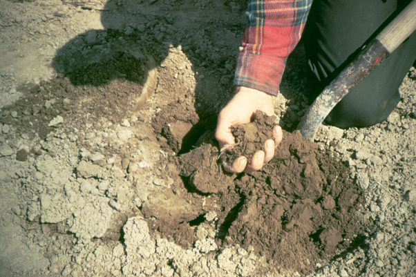 Soil carbon data technology introduced