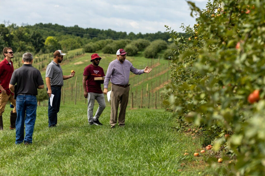 Virginia Tech celebrates 100 years of partnership with fruit and wine Industries