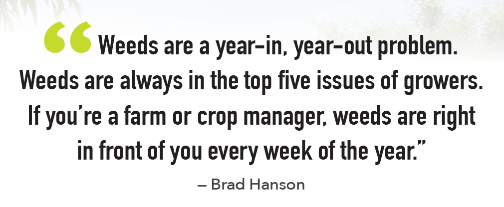 UC Davis research improves weed control in orchards and specialty crops