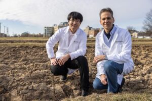 Mizzou researchers unlock how plants regulate root growth