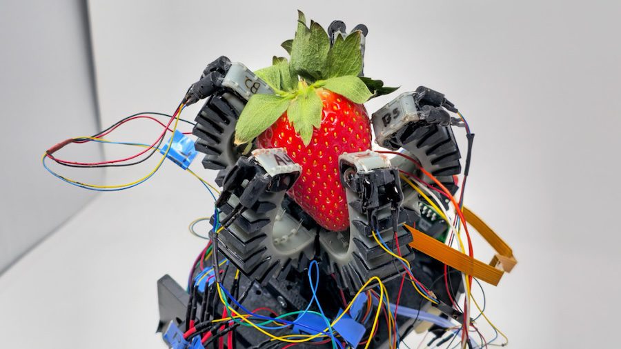 Robotic gripper senses ripeness and harvests fruit without bruising