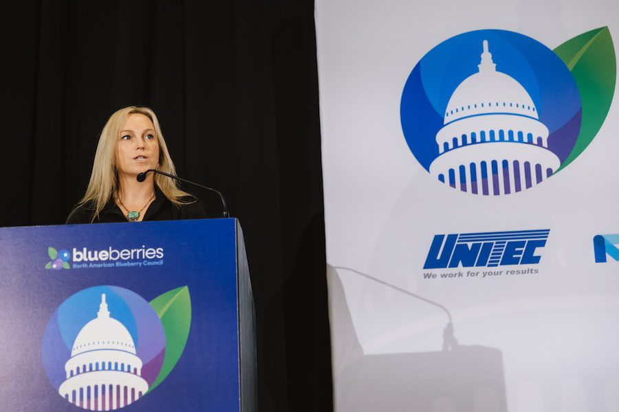 Q&A: New USHBC board chair Ellie Norris talks Mexican berries, job priorities