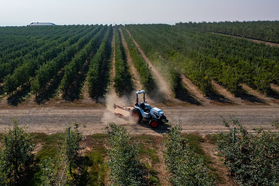 Tools that pay: How Okanagan Specialty Fruits saved $2,000 per acre with futuristic orchard ag tech