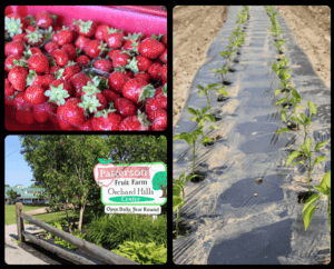 Farm Market Friday: Northeast Ohio photo tour part 2