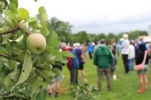 IFTA Summer Tour: Cornell researchers showcase emerging orchard disease, weed and IPM tools