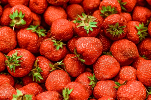 Preliminary ruling on fresh winter strawberry imports favors US growers